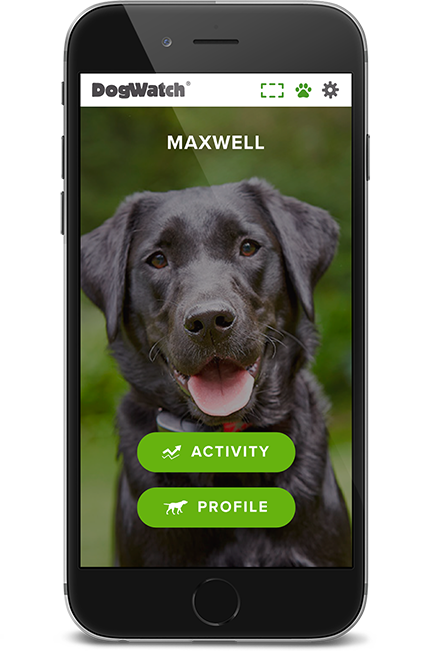 DogWatch of Greater San Antonio, San Antonio, Texas | SmartFence WebApp Image