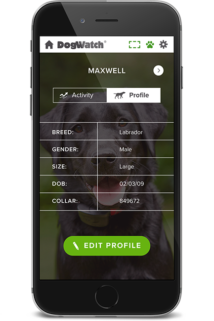 DogWatch of Greater San Antonio, San Antonio, Texas | SmartFence WebApp Image